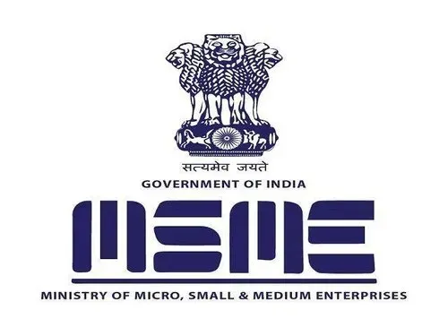  Micro, Small and Medium Enterprises (MSME)